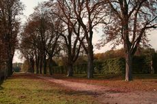 B-Herbststimmung 016.jpg